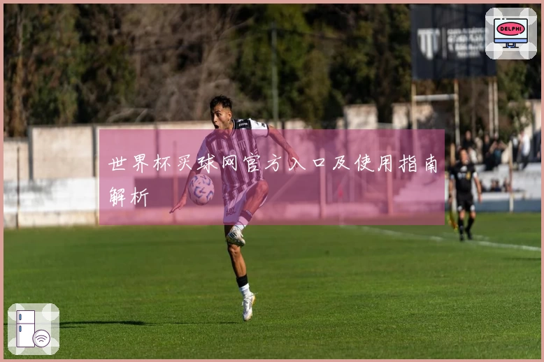 世界杯买球网官方入口及使用指南解析