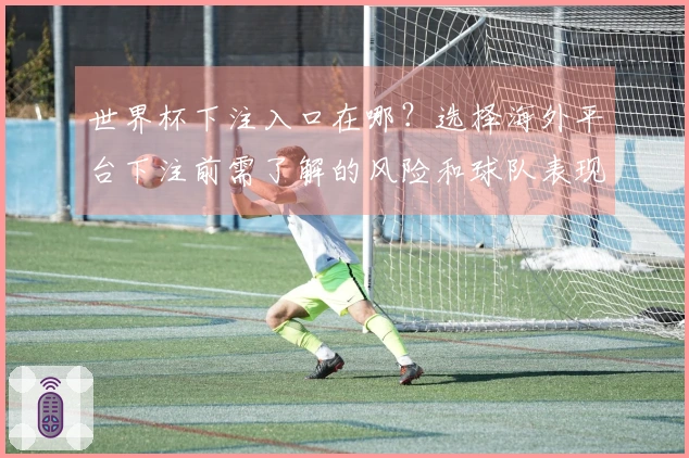 世界杯下注入口在哪？选择海外平台下注前需了解的风险和球队表现分析
