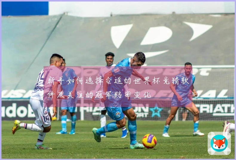 新手如何选择合适的世界杯竞猜软件及关注的冠军赔率变化