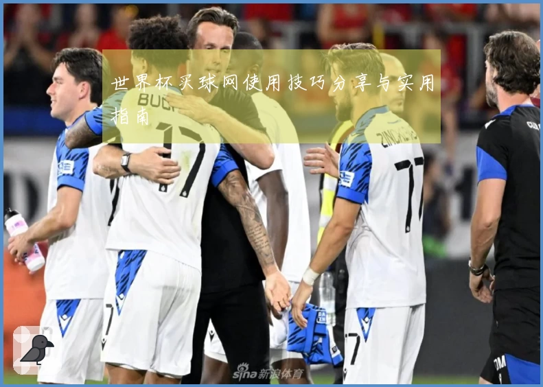 世界杯买球网使用技巧分享与实用指南