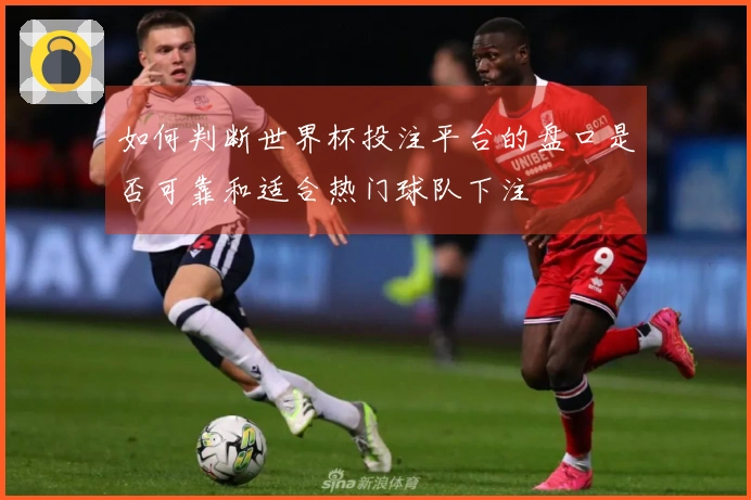 如何判断世界杯投注平台的盘口是否可靠和适合热门球队下注