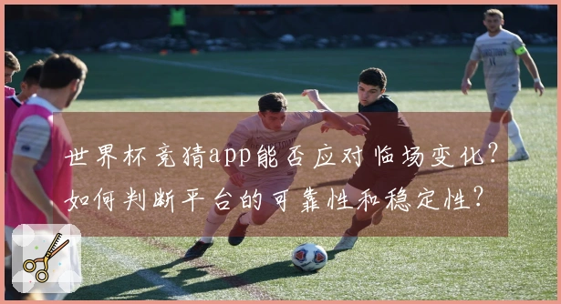 世界杯竞猜app能否应对临场变化？如何判断平台的可靠性和稳定性？