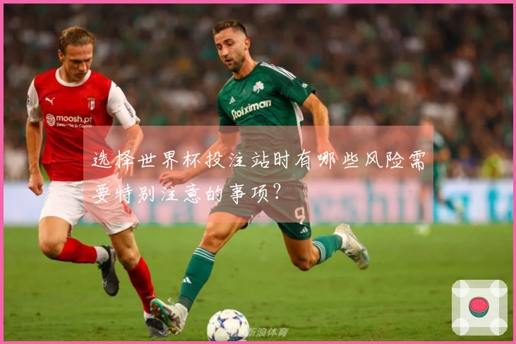 选择世界杯投注站时有哪些风险需要特别注意的事项？