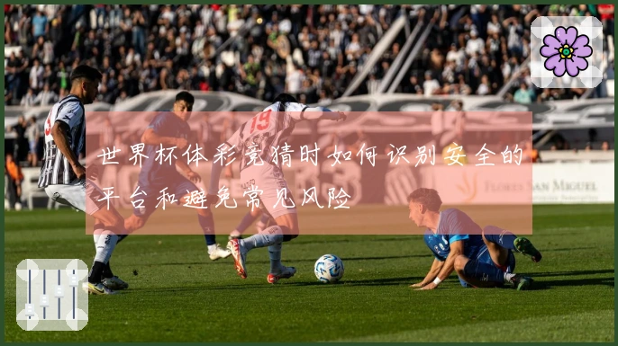 世界杯体彩竞猜时如何识别安全的平台和避免常见风险