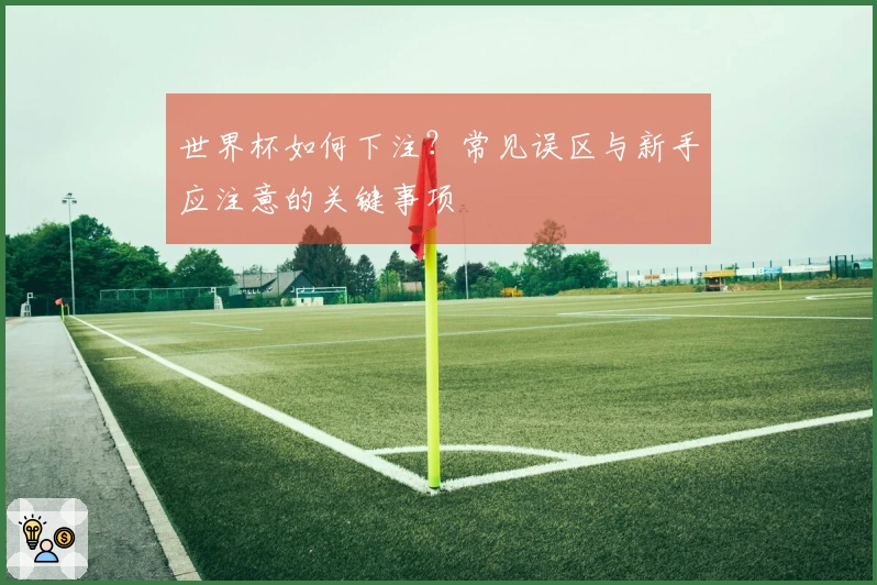 世界杯如何下注？常见误区与新手应注意的关键事项