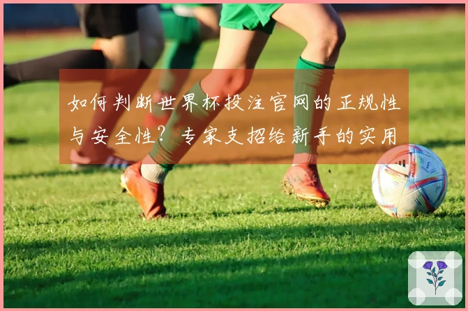 如何判断世界杯投注官网的正规性与安全性？专家支招给新手的实用指南