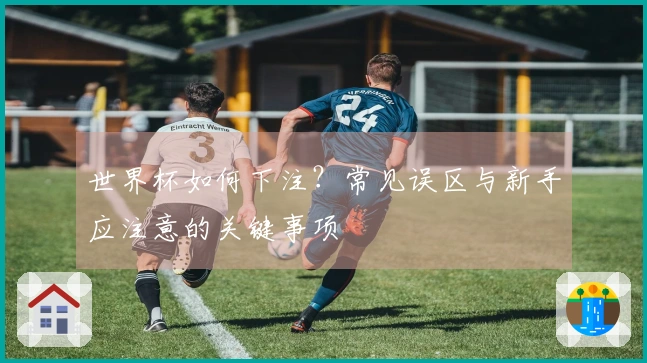 世界杯如何下注？常见误区与新手应注意的关键事项