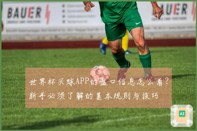世界杯买球APP的盘口信息怎么看？新手必须了解的基本规则与技巧