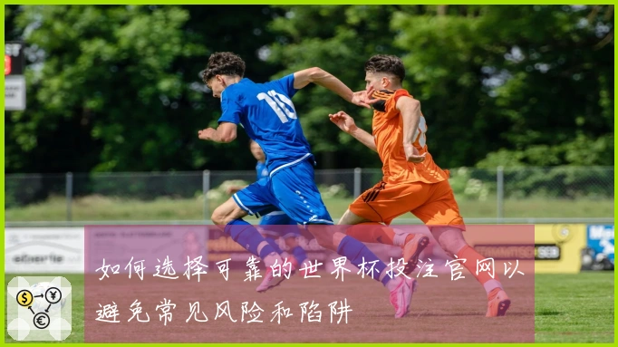 如何选择可靠的世界杯投注官网以避免常见风险和陷阱