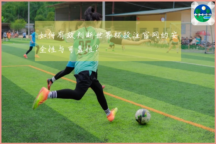如何有效判断世界杯投注官网的安全性与可靠性？