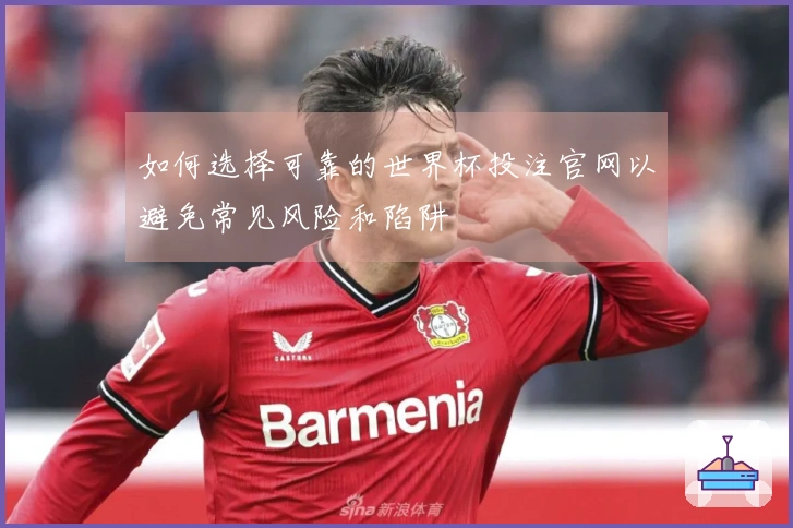 如何选择可靠的世界杯投注官网以避免常见风险和陷阱