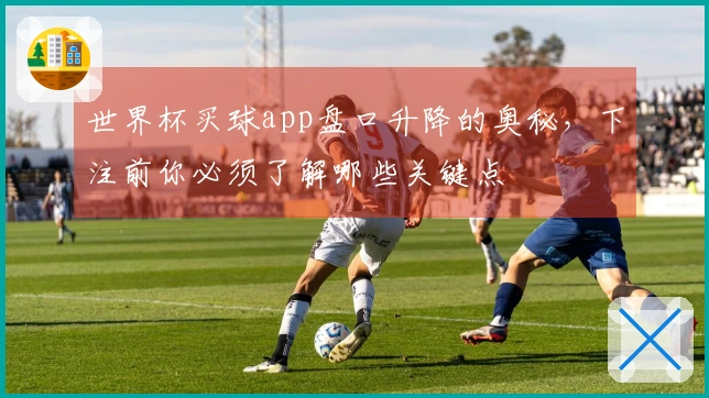 世界杯买球app盘口升降的奥秘，下注前你必须了解哪些关键点
