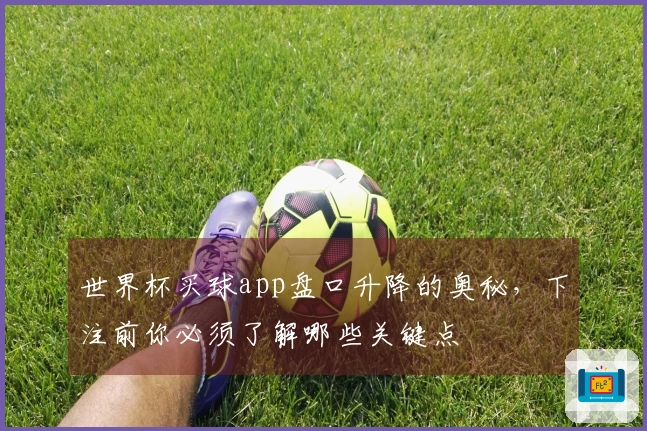 世界杯买球app盘口升降的奥秘，下注前你必须了解哪些关键点