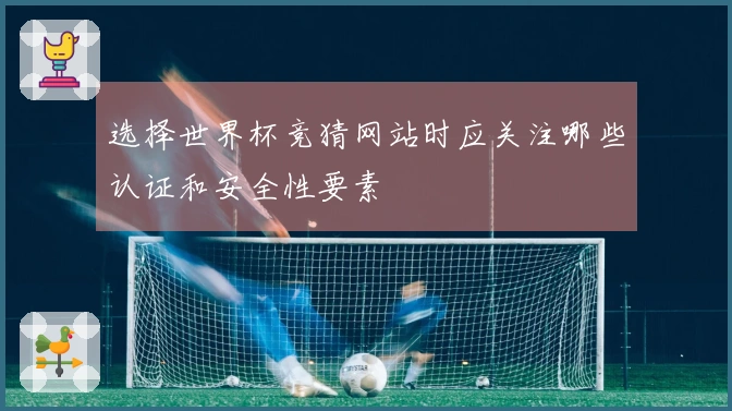 选择世界杯竞猜网站时应关注哪些认证和安全性要素
